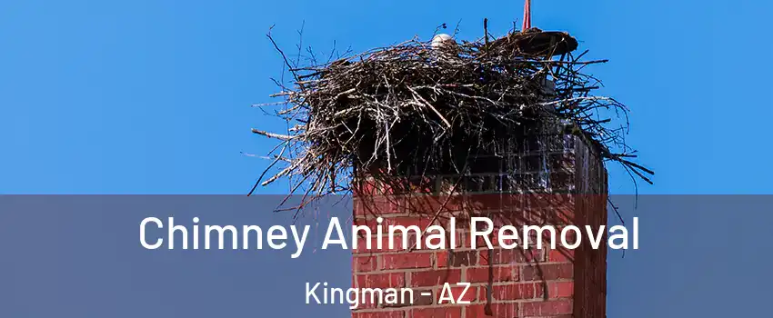 Chimney Animal Removal Kingman - AZ