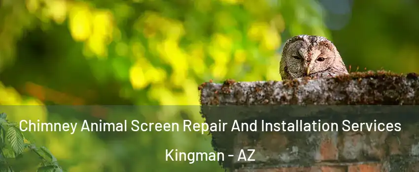  Chimney Animal Screen Repair And Installation Services Kingman - AZ