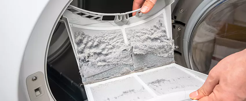 Best Dryer Lint Removal Company in Kingman, Arizona